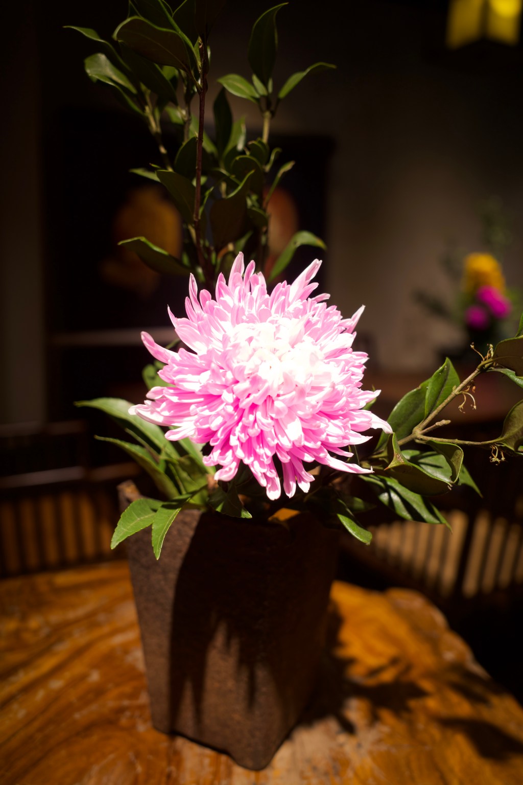 Tai Chung Tea room Chiou Shan Tang 秋山堂 in the National Taiwan museum of Fine Arts(Jan2025)